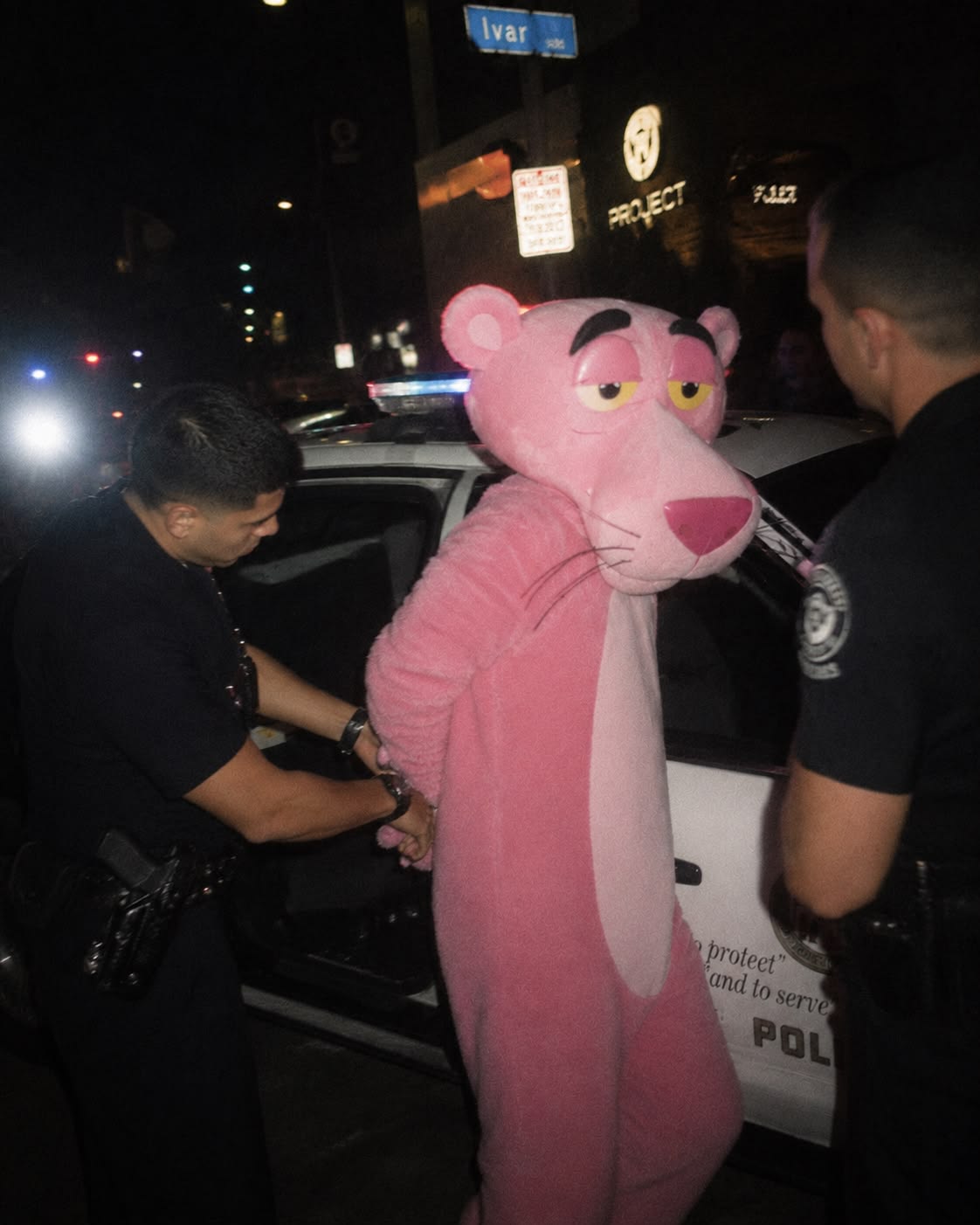 Graphic Design & Identity